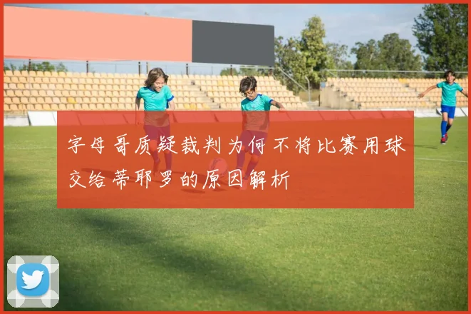 字母哥质疑裁判为何不将比赛用球交给蒂耶罗的原因解析
