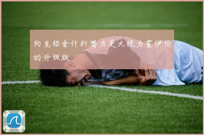 约克称舍什科潜力更大视为霍伊伦的升级版
