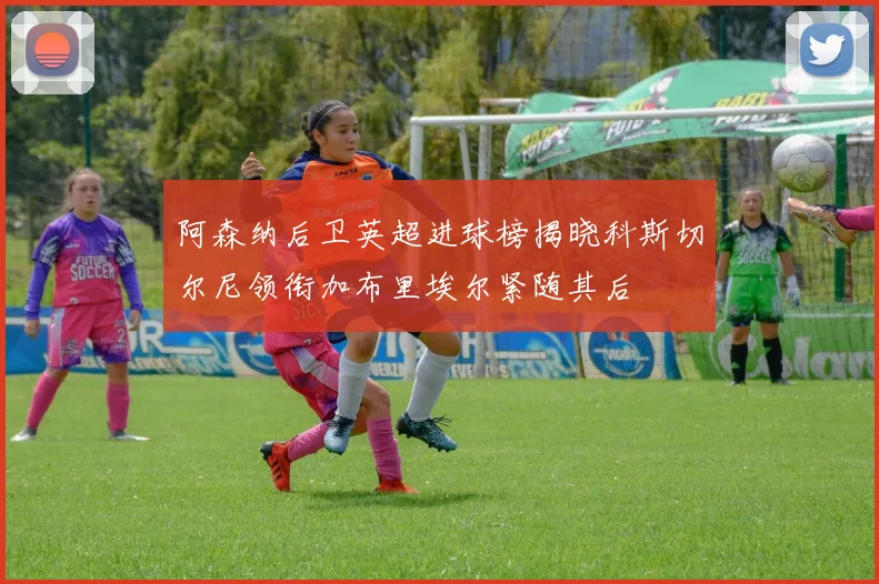 阿森纳后卫英超进球榜揭晓科斯切尔尼领衔加布里埃尔紧随其后