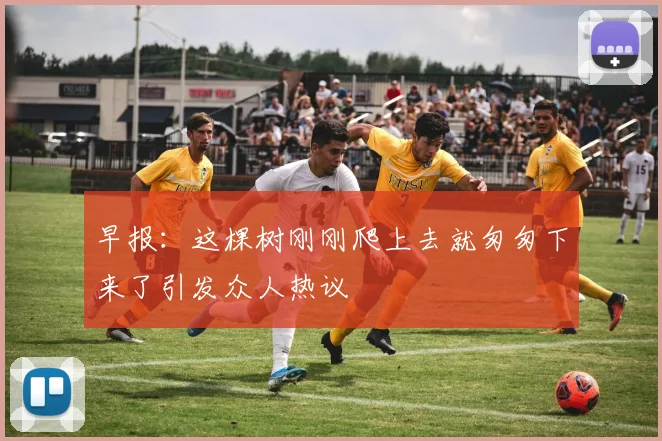 早报：这棵树刚刚爬上去就匆匆下来了引发众人热议