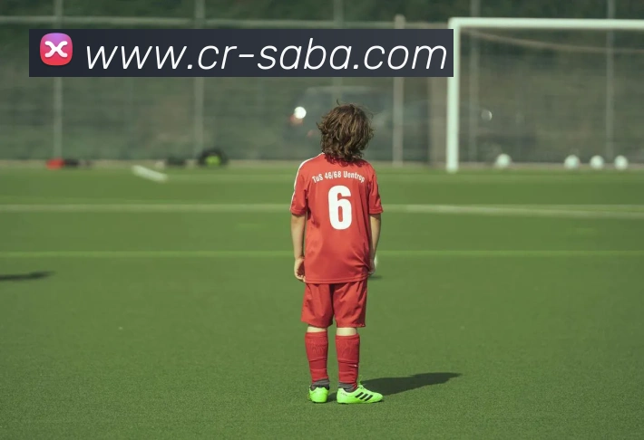 沙巴足球官网服务体系