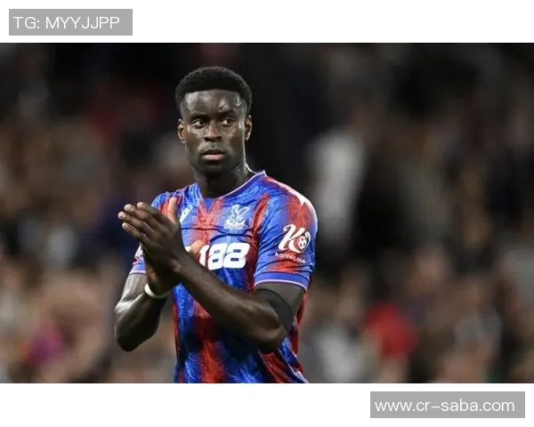 水晶宫即将以5000万签下拉尔森马特塔离队或成定局 水晶宫即将以5000万签下拉尔森马特塔离队或成定局